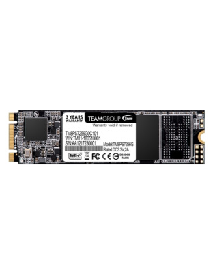 Team MS30 (TM8PS7256G0C101) 256GB, M.2 Sata Interface,