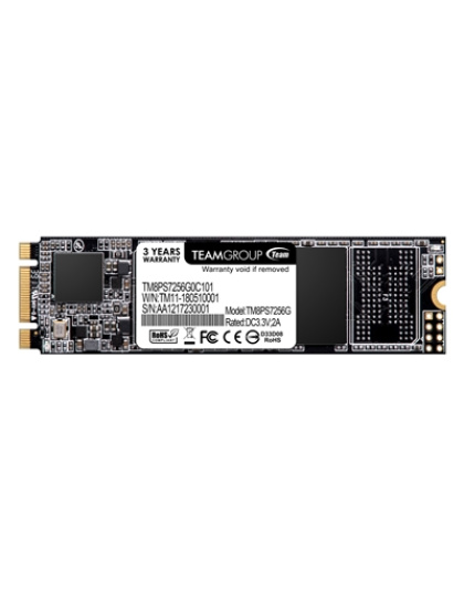 Team MS30 (TM8PS7256G0C101) 256GB, M.2 Sata Interface,