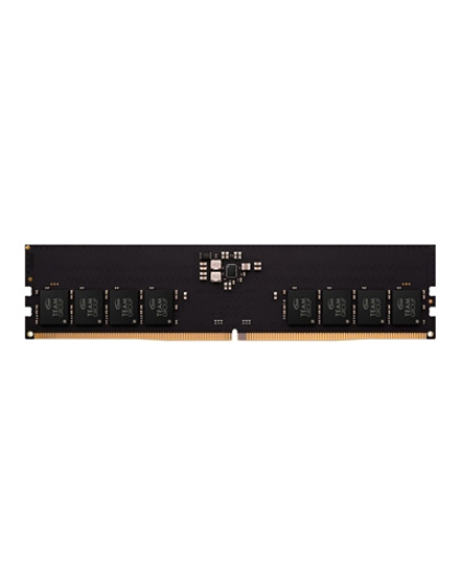 Team  Elite  TED532G5600C4601  32GB  (1  x  32GB)
